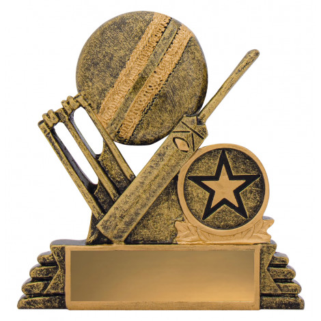 Cricket Trophy, Icon