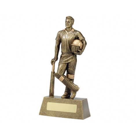 A102. X-Large Cricket 'Hero' Resin Trophy