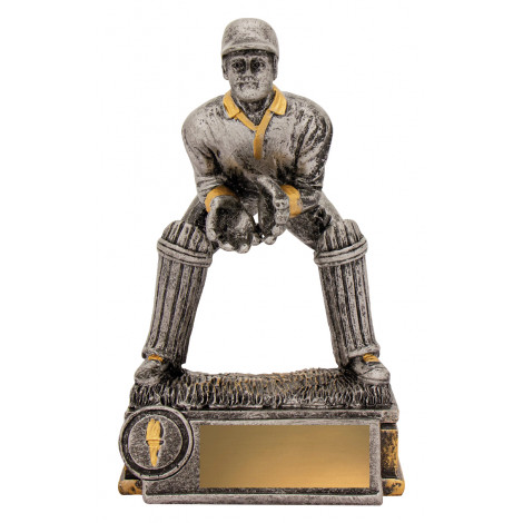 Cricket Trophy, Wicketkeeper