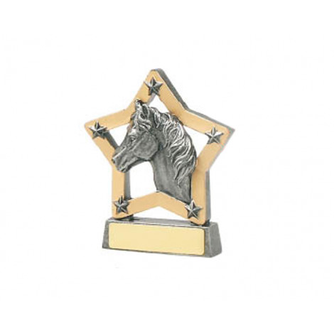 23. Horse Star Resin Trophy
