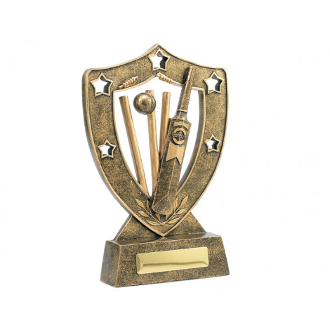 Small Cricket Shield Resin Trophy