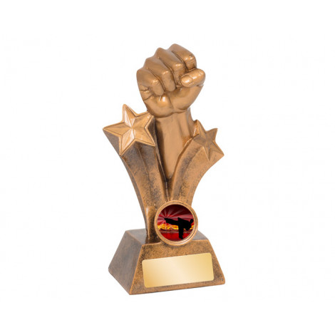 01. Small Karate Star Resin Trophy