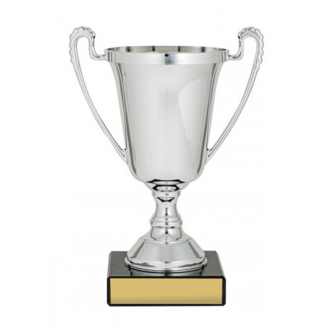 Cup Silver