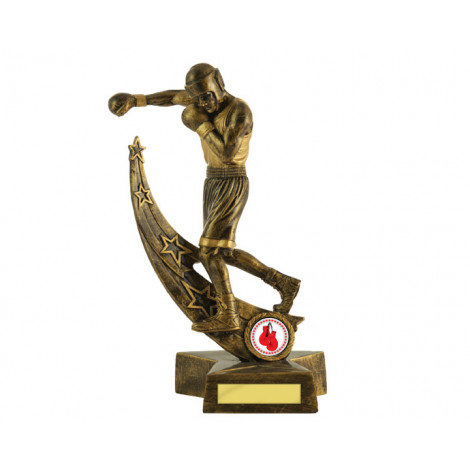 25. Small Boxing All Stars Resin Trophy