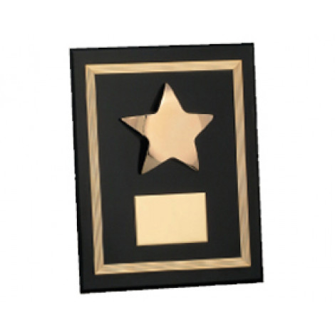 61. Shiny Gold Star, Black Piano Finish Plaque