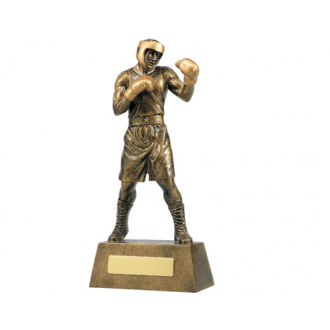 08. Small Action Boxing Resin Trophy