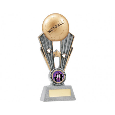 80. Large Netball Fame Resin Trophy