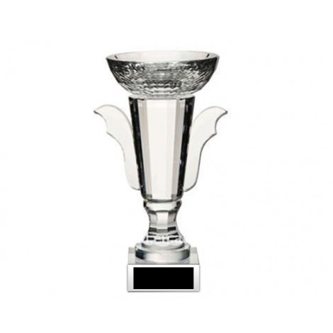 56. Crystal Cup Trophy