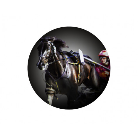 Horse Riding Acrylic Button