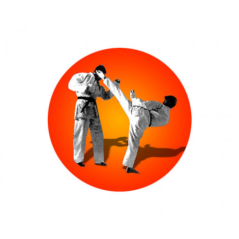 Karate Acrylic Button