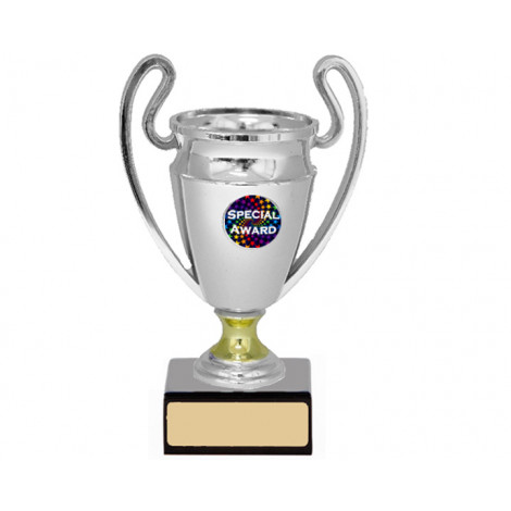 Silver Trophy Cup, 245mm