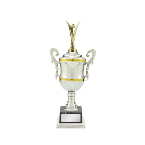 62. Medium Silver/Gold Presentation Cup, 420mm