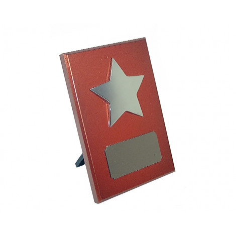 48. Shiny Silver Star Award, Metallic Bronze Plaque