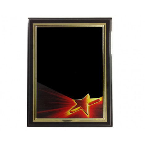 39. Large Star Brass Plate, Piano Finish Black Plaque
