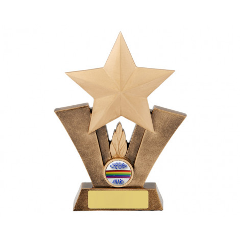 17. Large Star Achievement Resin Trophy