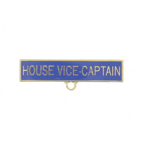 House Vice Captain School Badge