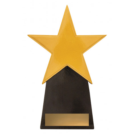 Star Award Golden Trophy Resin