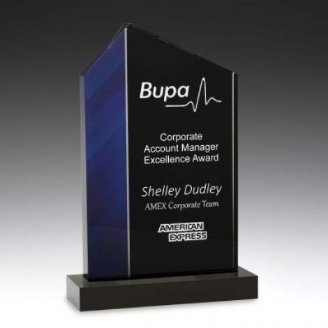 Vivid Acrylic Blue Summit Award