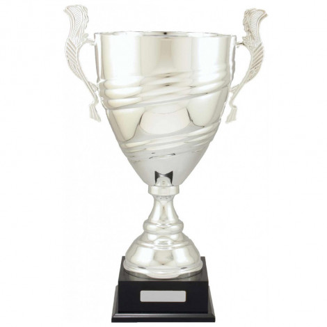 Silver Classic Metal Presentation Cup on Base
