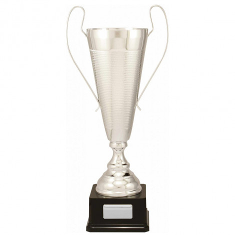 Silver Vaso Prestige Metal Presentation Cup on Base