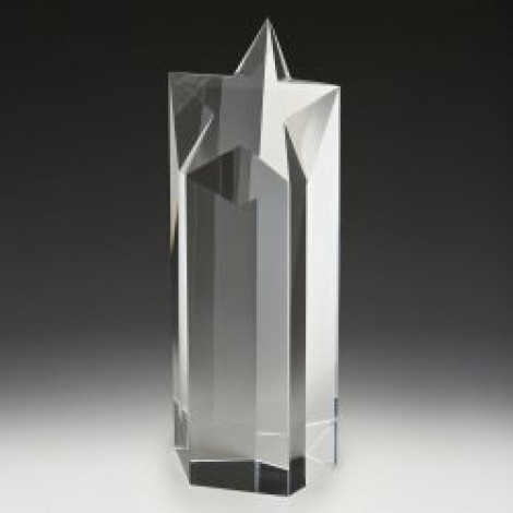 Focus Star Crystal Award, Large
