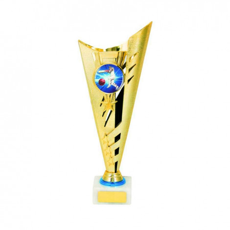 Cricket Gold cup with Blue Trophy