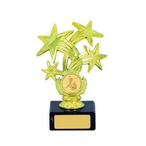 Cricket Silver Gold Star Trophy