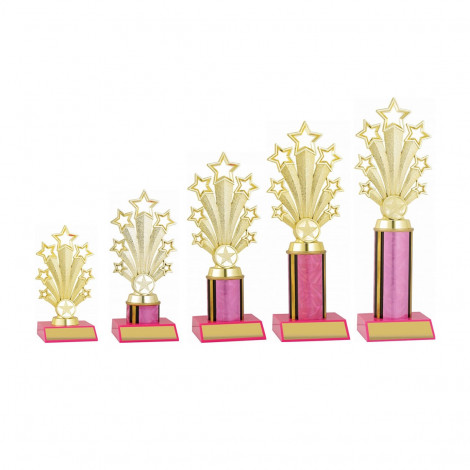 Star Trophy with Pink Column