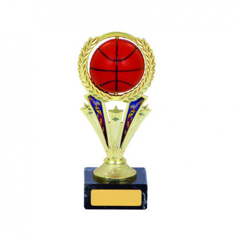 Netball Column Trophy