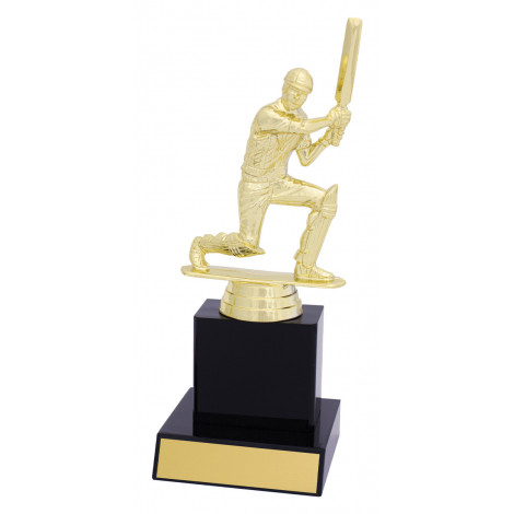 Cricket Trophy, Gloss Black Column