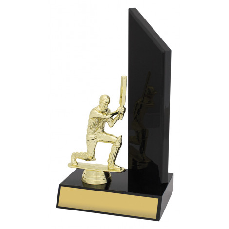 Cricket Trophy, Gloss Black Wing