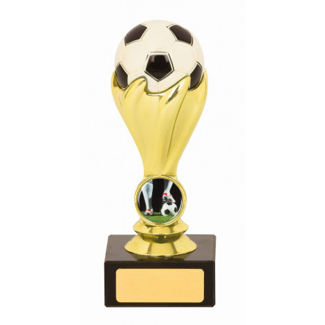 Football Trophy, Black & Gold