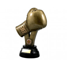 Boxing Glove Trophy