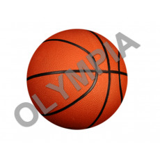 Basketball Acrylic Button