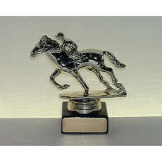 18. Horse Riding Trophy