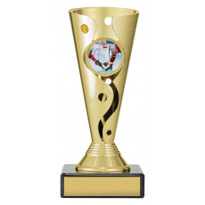 Futsal Trophy, Carnival Cup Gold