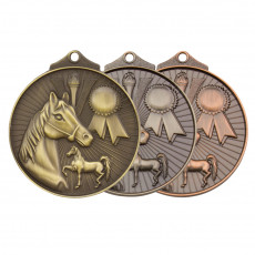 Equestrian Victory Sculptured Medal