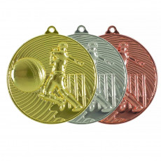 Cricket Sculptured Medal