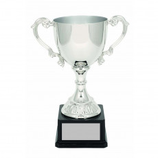 Canterbury Nickel Plated Silver Cup