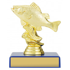 Fishing Trophy, Perch