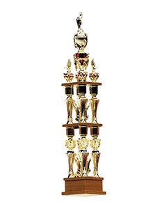 World-Boxing-Association-Flyweight-Champion-Trophy