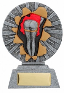 Novelty Bottom Place Trophy Award
