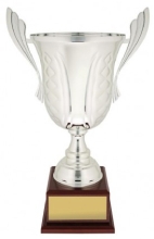 prestige presentation cup