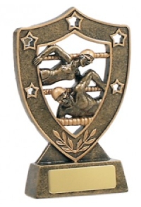 swimming shield trophy