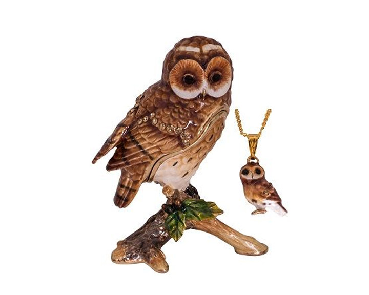 11. Owl Hidden Treasure Tinket Box with Necklace